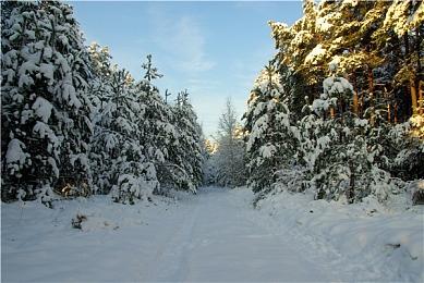 初代重制版《魂斗罗：加鲁加行动》明年发售